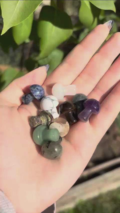 Mini Carved Crystal Mushrooms